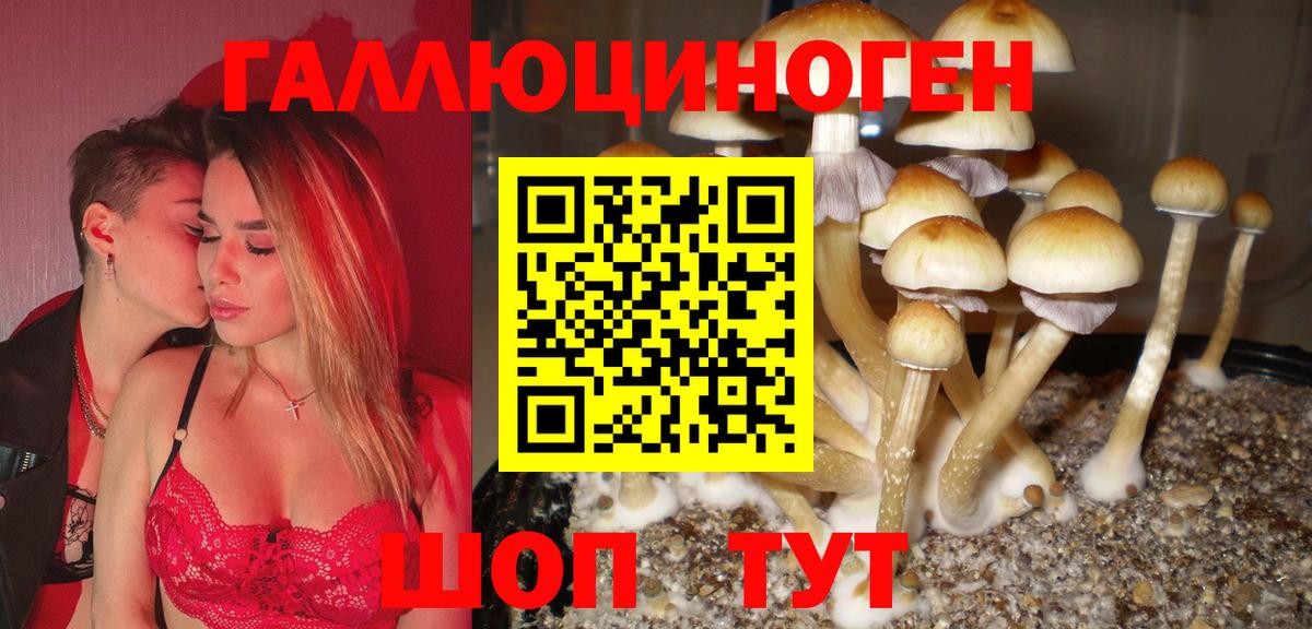 Галлюциногенные грибы MAGIC MUSHROOMS Шали