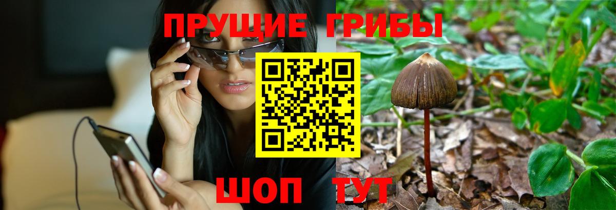 Галлюциногенные грибы ЛСД  Вход с VPN  Шали 